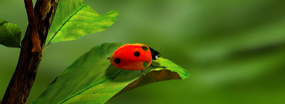 綺麗に見えるメイクの方法